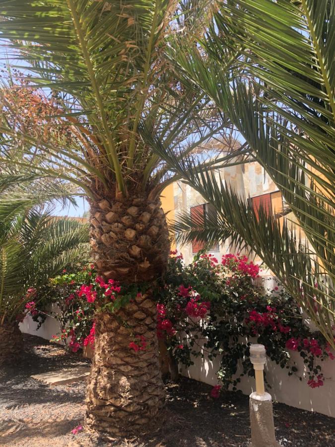Apartamento Le Soleil De Fuerteventura كوستا دي أنتيجوا المظهر الخارجي الصورة